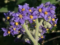 Image: Trevor James © Trevor James 